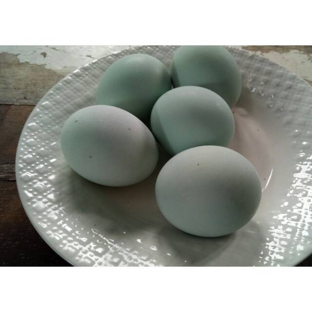 

Telur asin warteg