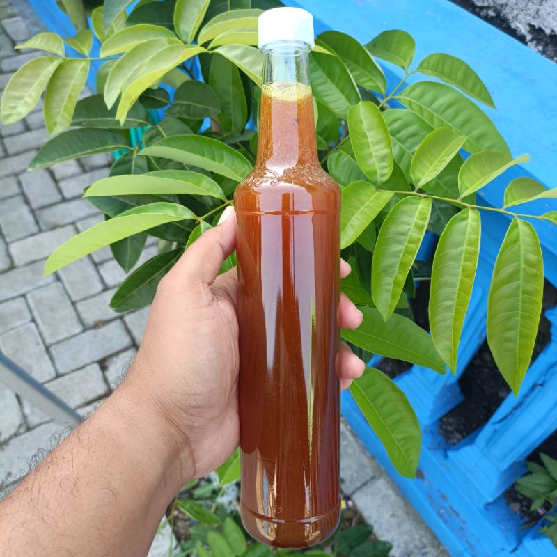 

Madu Cerana Liar Murni Asli Kemasn 500ML