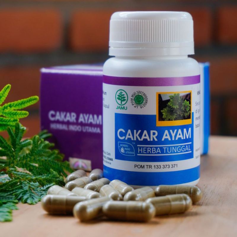 CAKAR AYAM Herbal Indo Utama HIU - Kapsul ekstrak herba cakar ayam | Obat batuk dan kanker