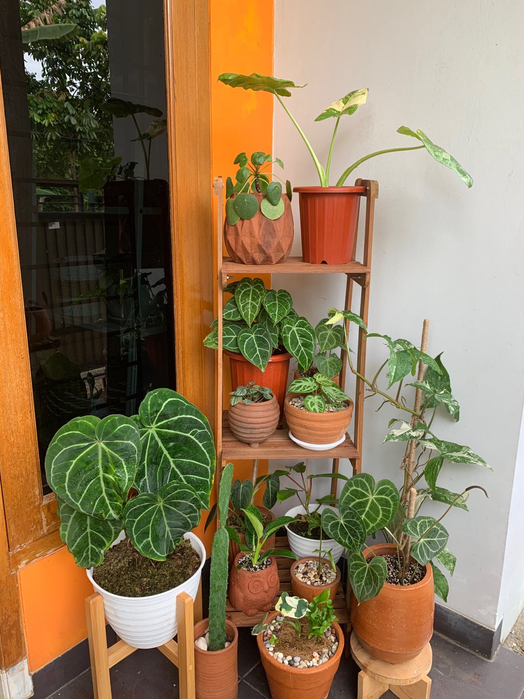 Rak Pot Susun 3 Tingkat 100% Kayu Ulin Asli Kalimantan Kokoh, Minimalis,