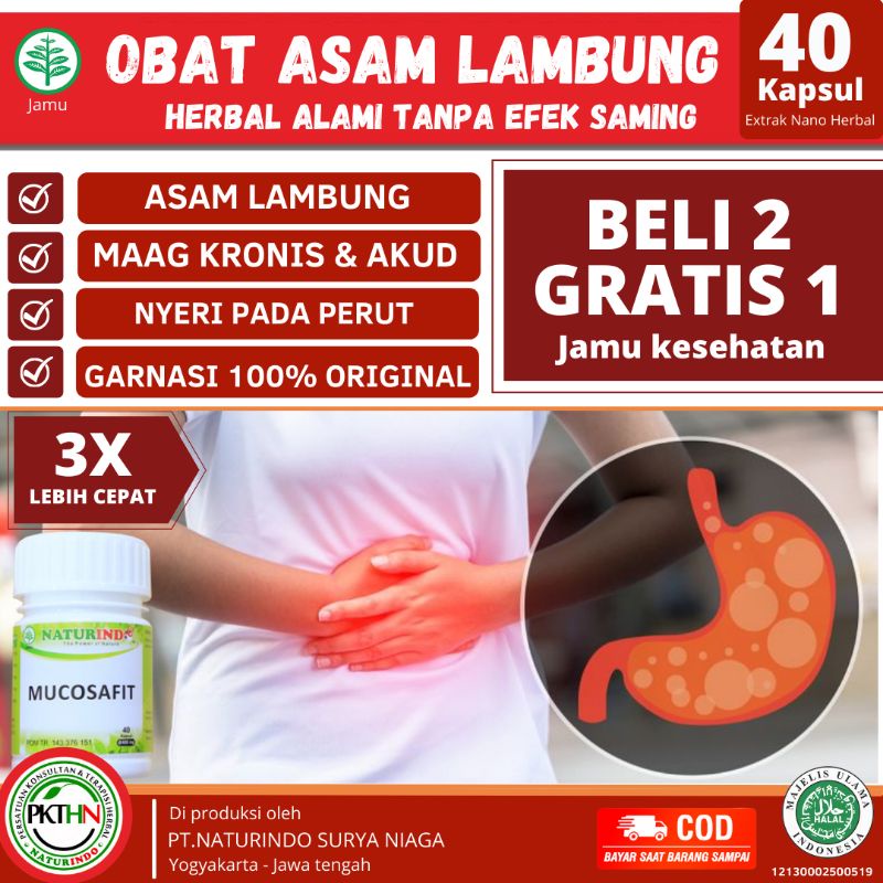 suplemen puasa nutrisi vitamin tubuh omega soya 369 rajanya protein nabati menjaga imun tubuh