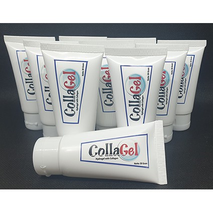 Collagel (Hydrogel with Collagen)