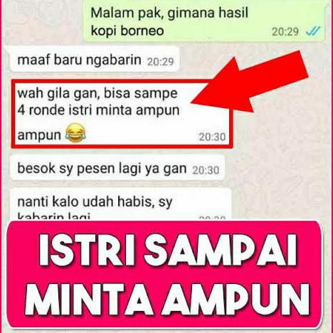 Favorit] Kuat Jamu Obat Stamina Pria Tahan Lama Kopi Borneo + Minyak Oles Hj