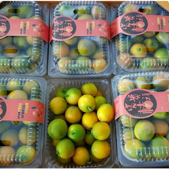 Orderan ibu Zainatussirti Jeruk Honey kimkit