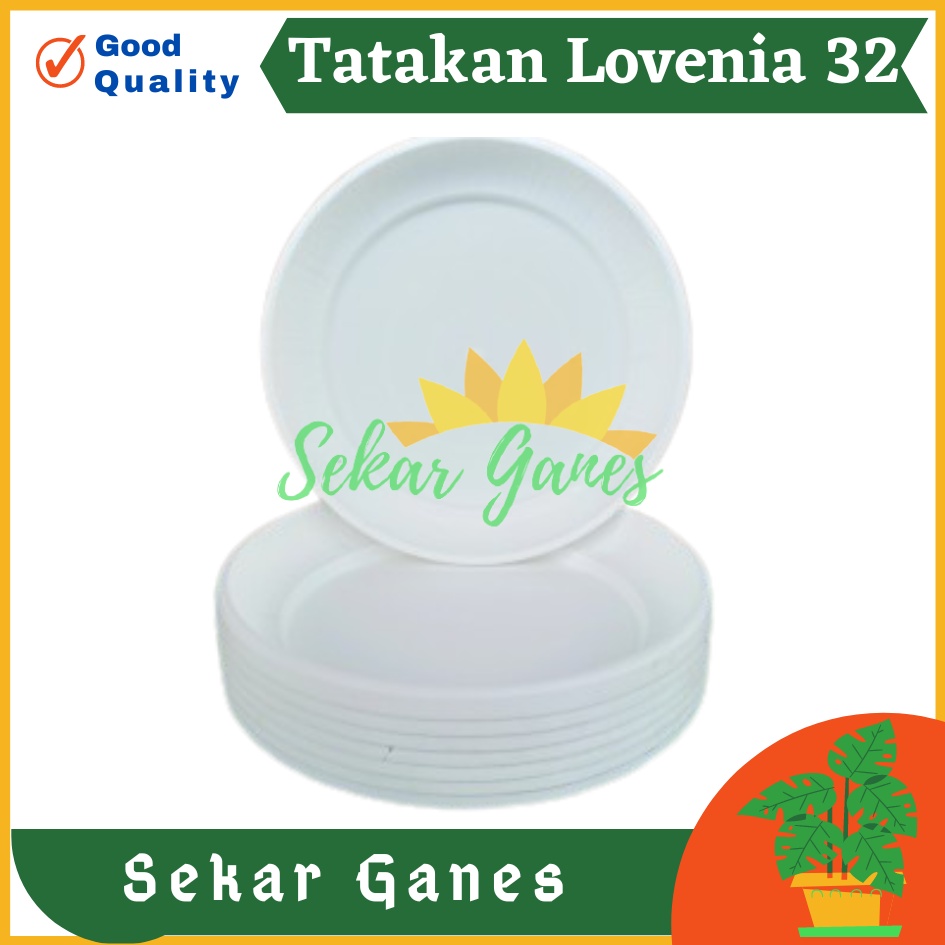 TATAKAN GENTONG LOVENIA 32 PUTIH DIAMETER 25 – TATAKAN POT TAWON 27 30 ALAS POT BUNGA 30 CM 35 MURAH