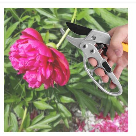 [Toserba_Emak] - Gunting Taman Ranting Tumbuhan Bunga Garden Pruning Shear Scissors - W238