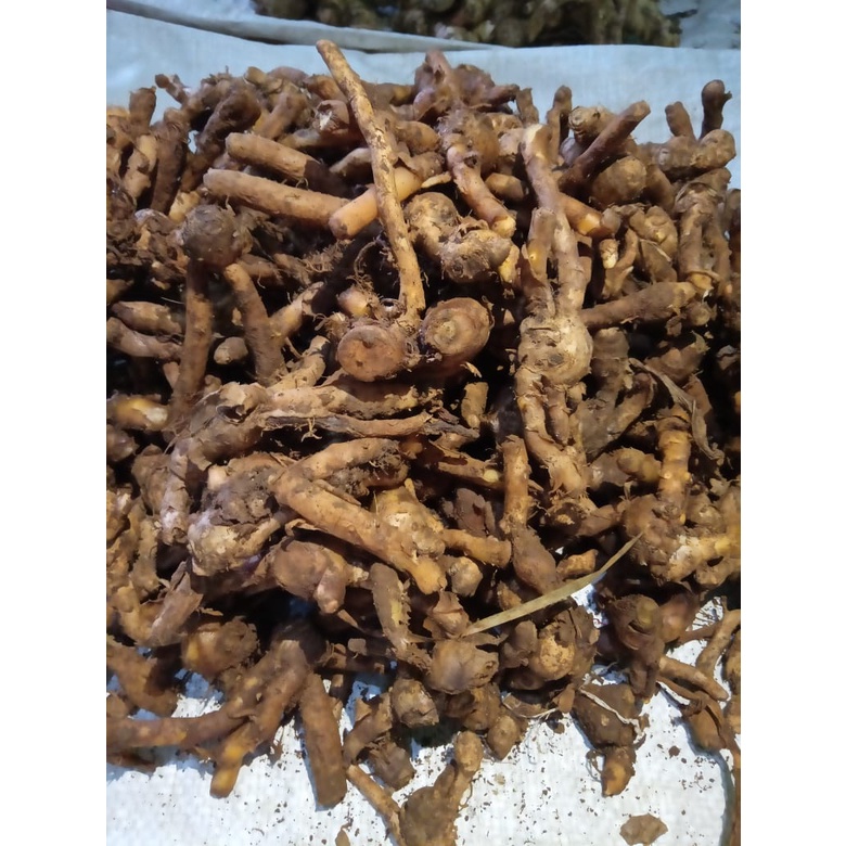 250gr Temu Kunci  Empon Empon Segar Tua Murah [COD]