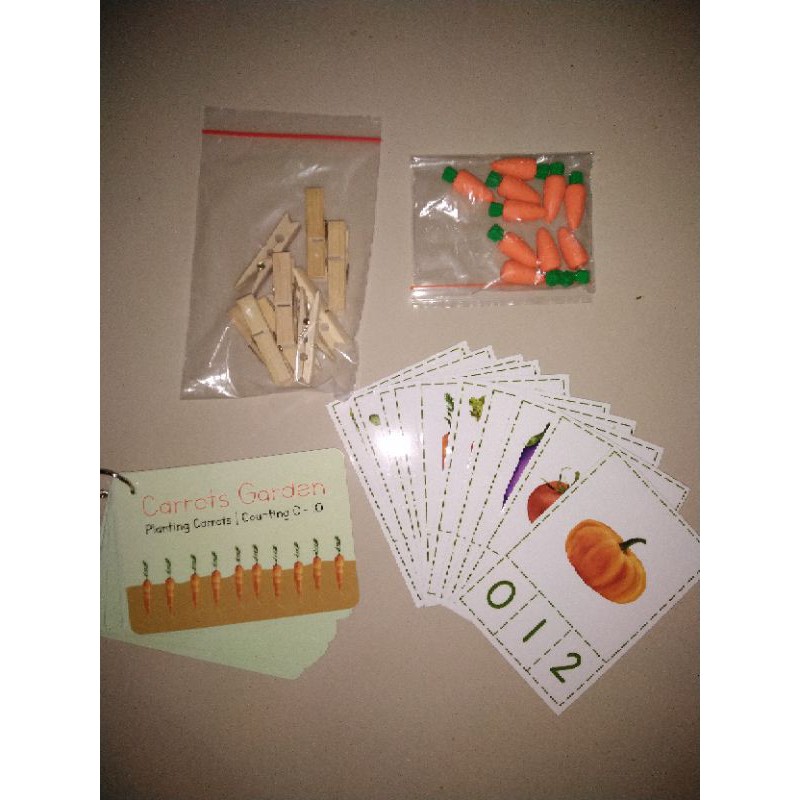 Mainan Edukasi Anak MONTESSORI Carrot Garden + Vegetables Activities