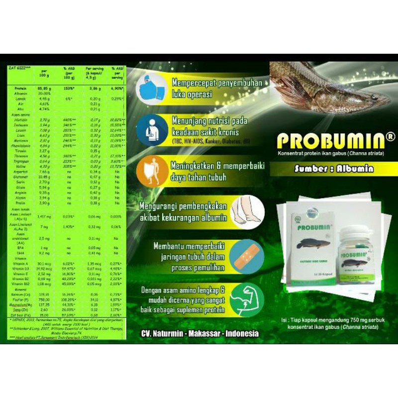 Probumin sumber albumin protein ikan gabus