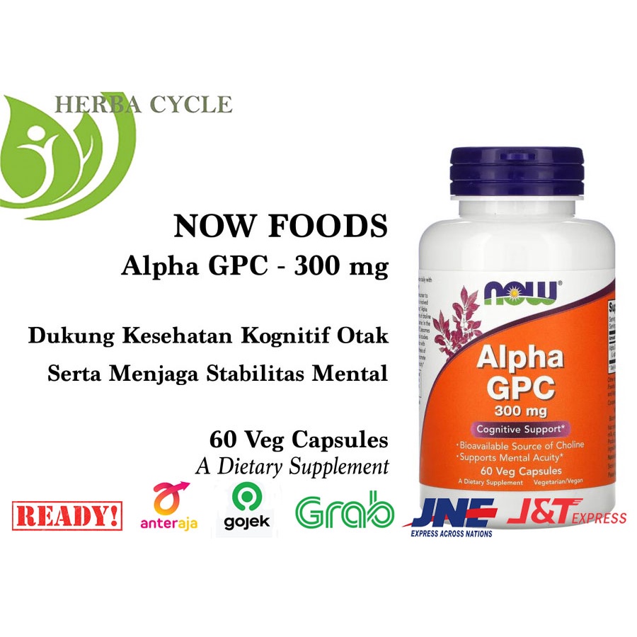 Now Foods Alpha GPC 300mg 60 Veg Cap Untuk Ketajaman Otak ORI USA Now Alpha GPC 300 Mg