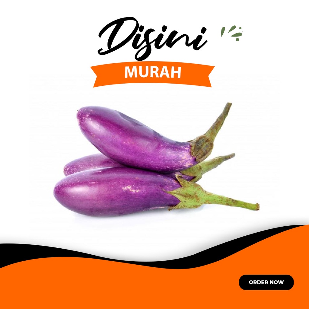 

Terong Ungu per 500 gram