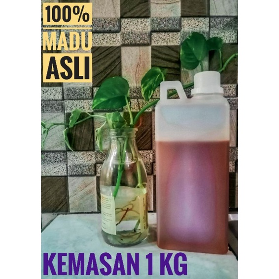

Madu Odeng Asli 100% (1Kg)