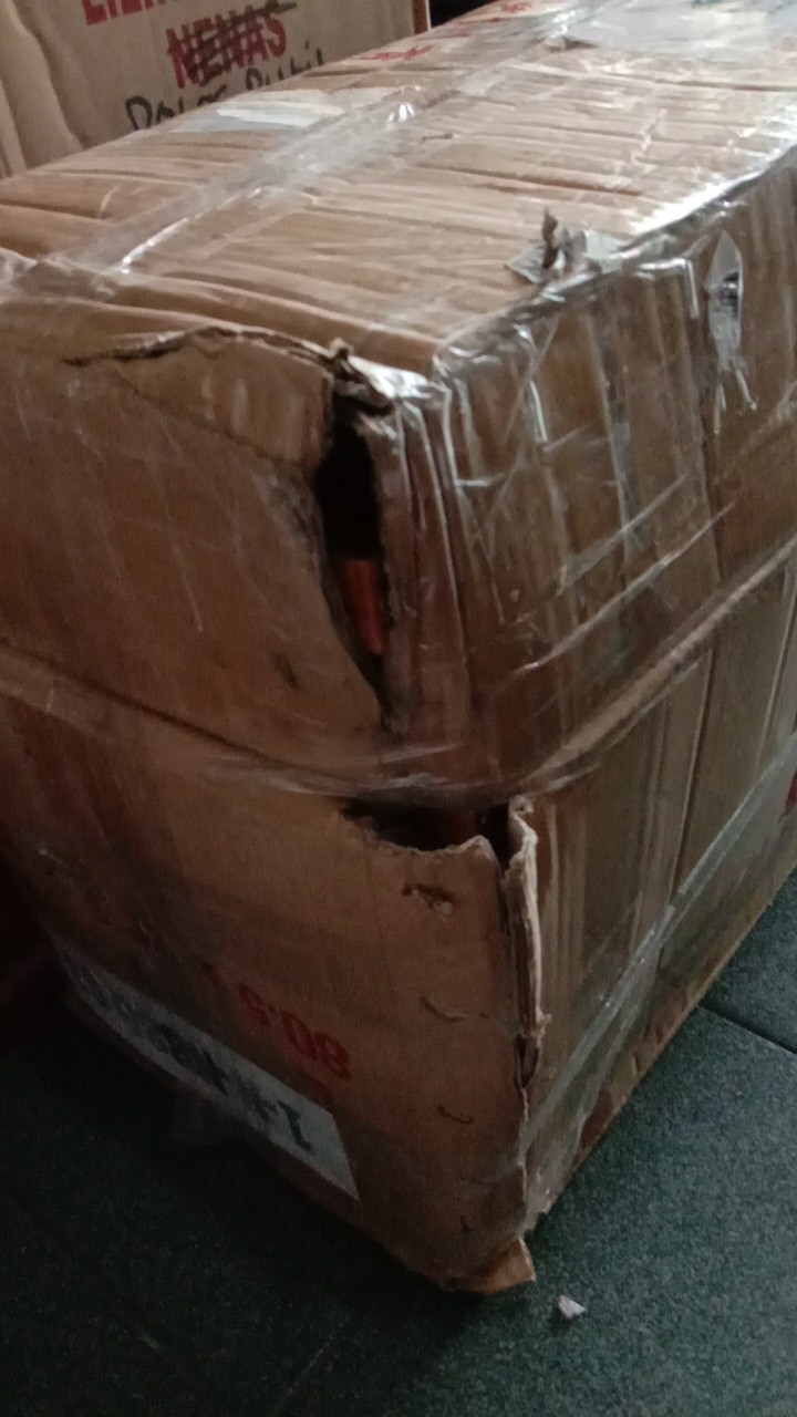 Hio Dupa Naga 3 Batang Ukuran 80 Cm