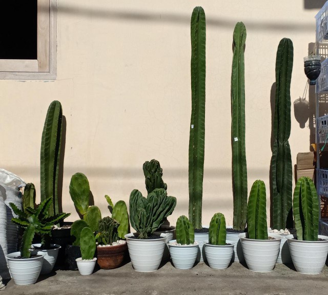 Hanger 5 Susun Gantungan Baju Celana Handuk Serbaguna 5 In 1 Hemat