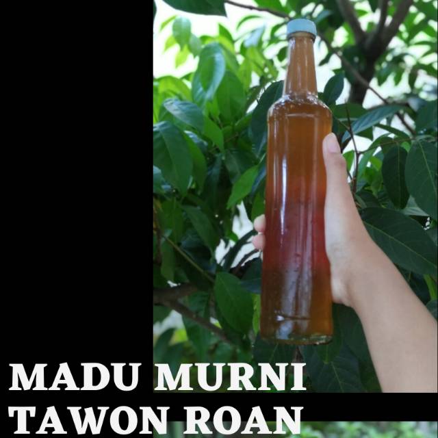 

Madu Murni Tawon Roan 600 ml