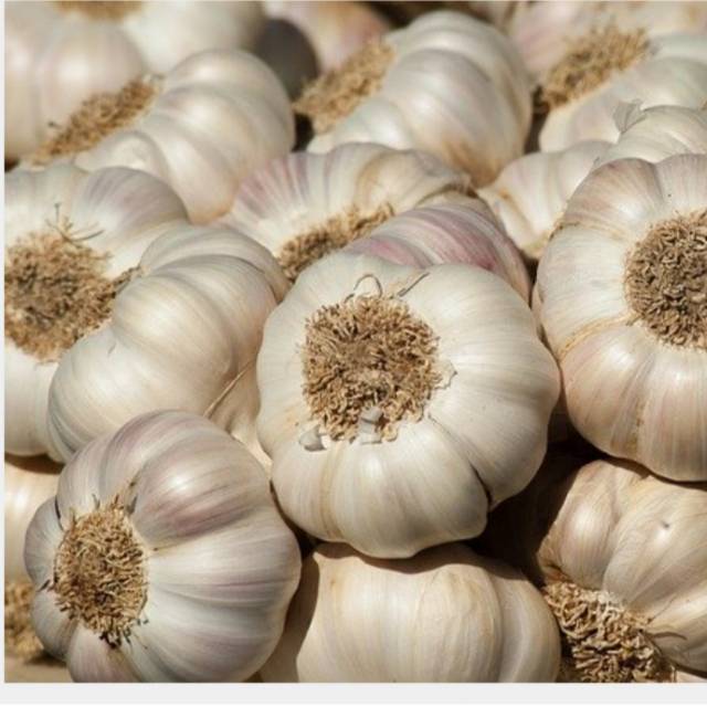 

BAWANG PUTIH 1 KG