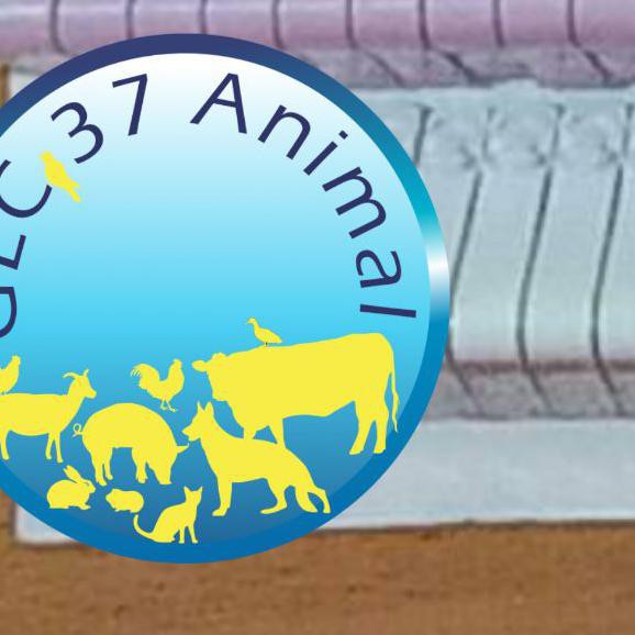 Ready Stock] Segel Sayap Ayam Klip Penanda Wing Band White Satuan