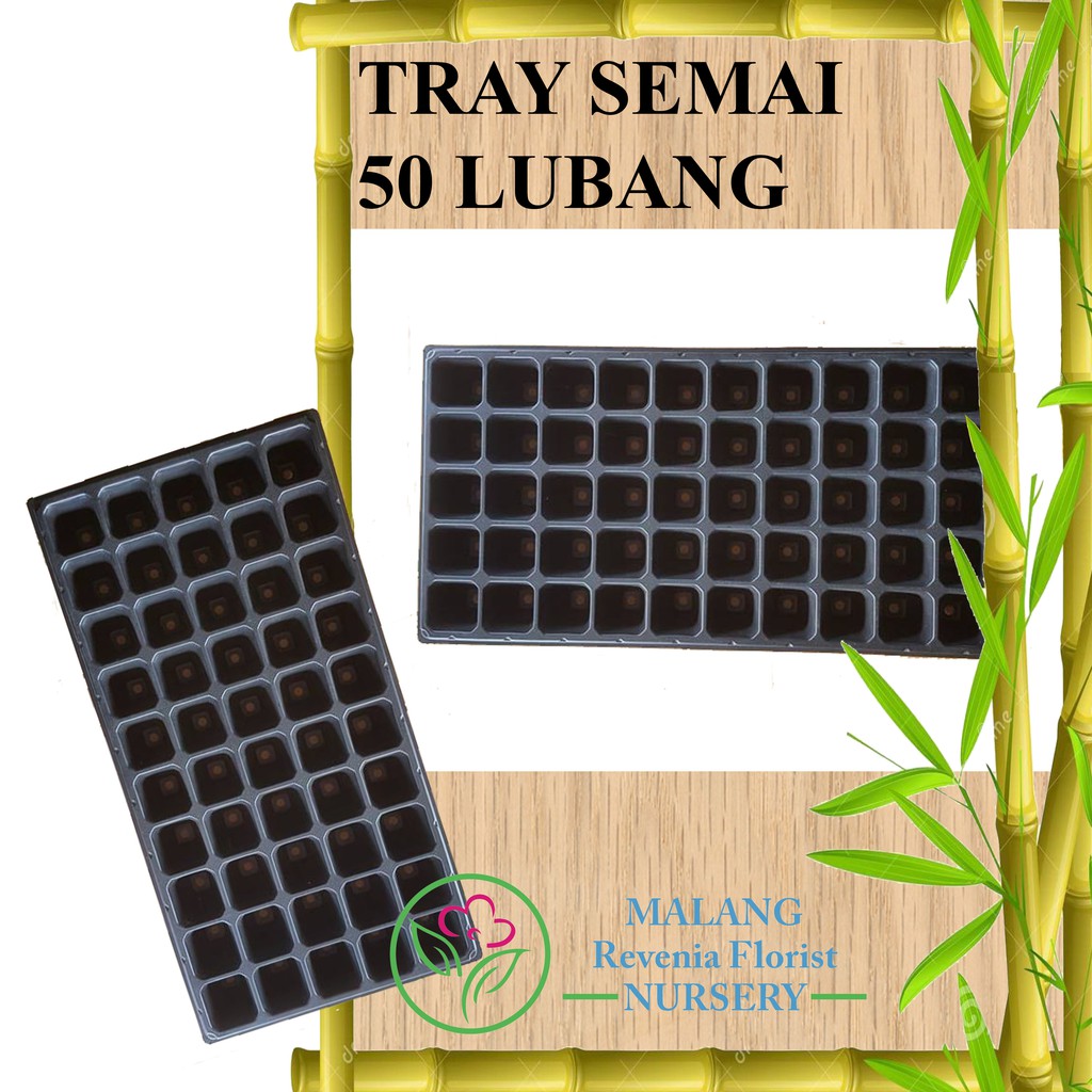 Tray Semai 50 Lubang