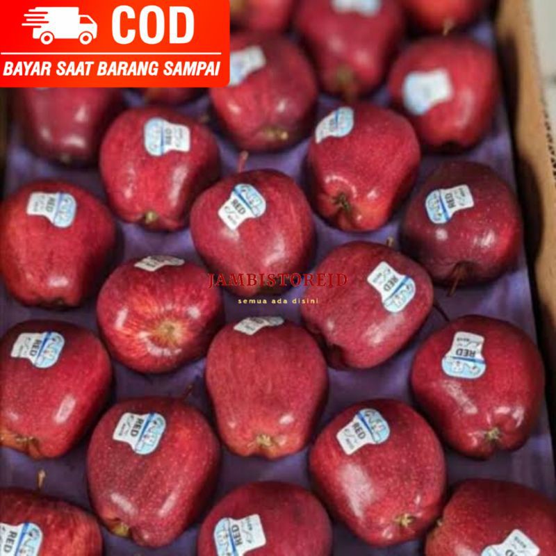 

(JAMBISTOREID) PILIH PENGIRIMAN INSTAN Apel 1 kg Fresh All Varian Red Del Merah Fuji Buah Oleh-Oleh Snack Cemilan Jambi Premium