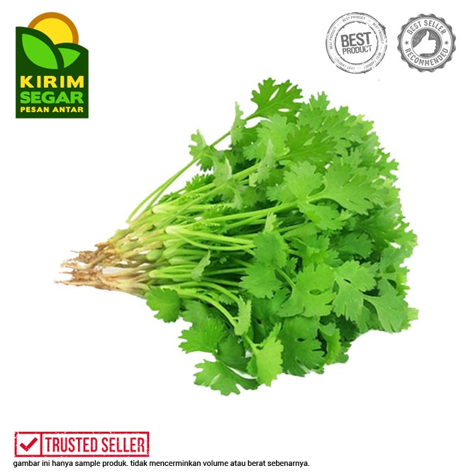 Daun Wansui / Wansui / Daun Ketumbar Segar / Wansui Segar /100gr/ Ikat