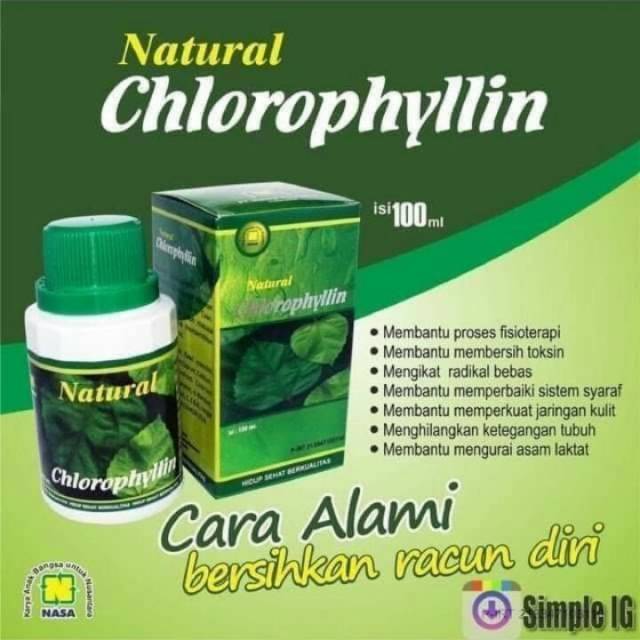 

Natural chlorophyllin minuman hijau yang kaya manfaat