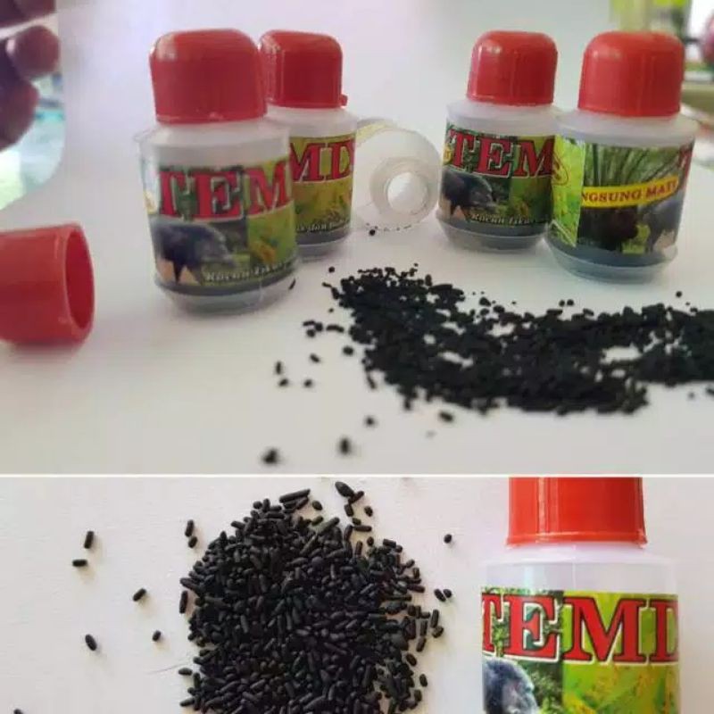 Temix racun tikus babi/celeng