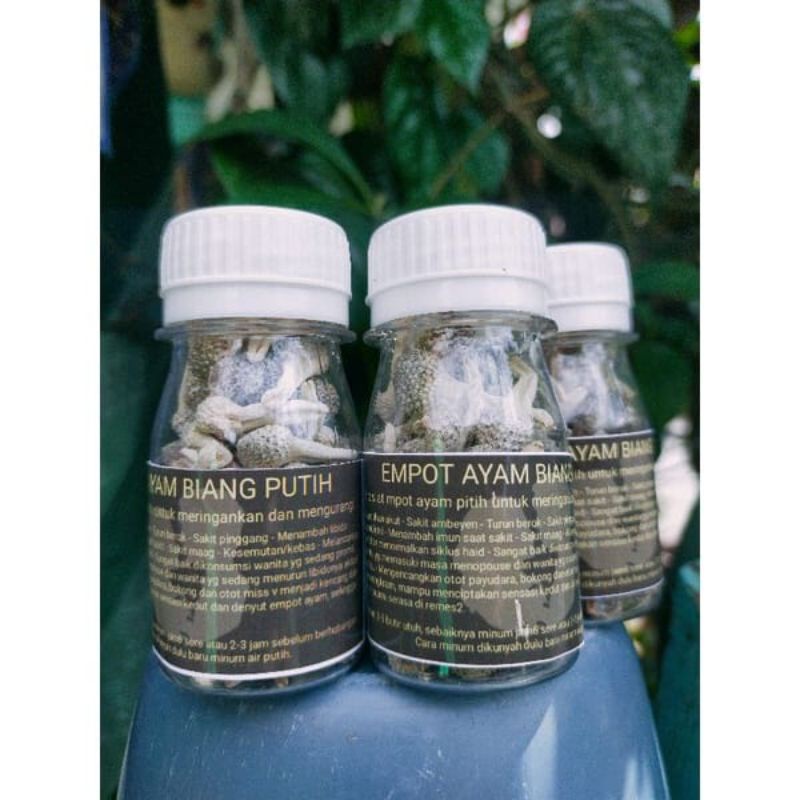 

JAMU EMPOT AYAM PUTIH (ORIGINAL)