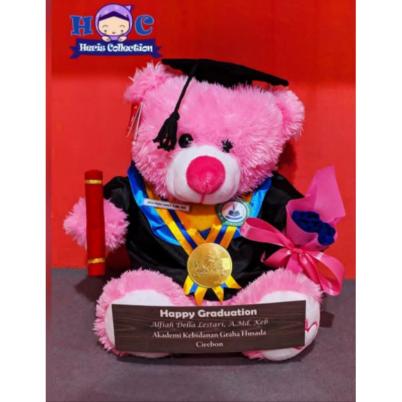 Boneka Wisuda Pink Sedang