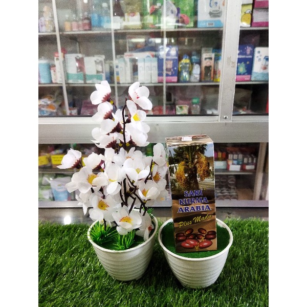 

SARI KURMA ARABIA PLUS MADU