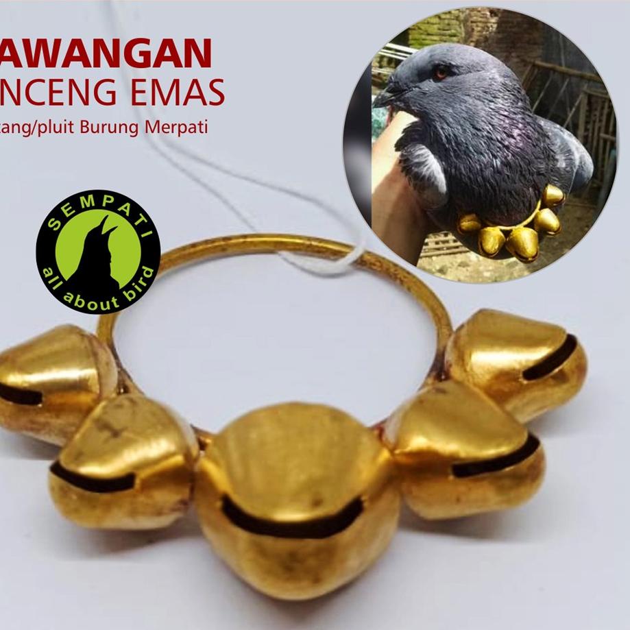 ➲ SAWANGAN KALUNG LONCENG KUNINGAN SAWANGAN MERPATI HATONG HOTANG PLUIT PELUIT LATIH BURUNG KLGMR ▼