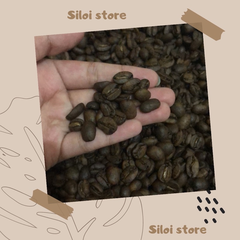 

Siloi Coffee from Toba (Sumater utara)