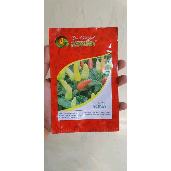 

benih bibit cabe rawit SONA produk jawara