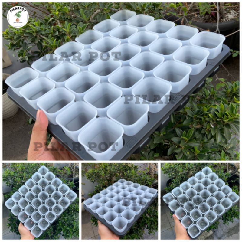 1 SET TRAY LUBANG 30 + POT NKT KOTAK 5CM BENING TRANSPARAN 30 PCS | TRAY SEMAI BIBIT