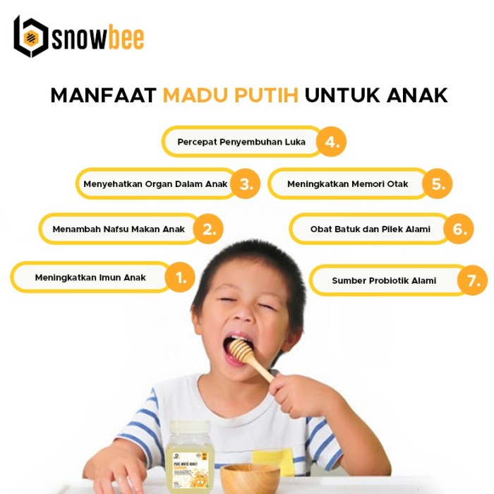 MADU PUTIH HUTAN SUMBAWA ASLI 500GR | SNOWBEE 100% PURE WHITE HONEY