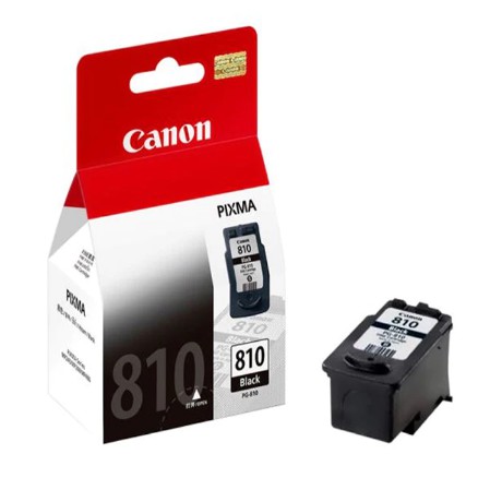 CARTRIDGE CANON PG-810 ORIGINAL