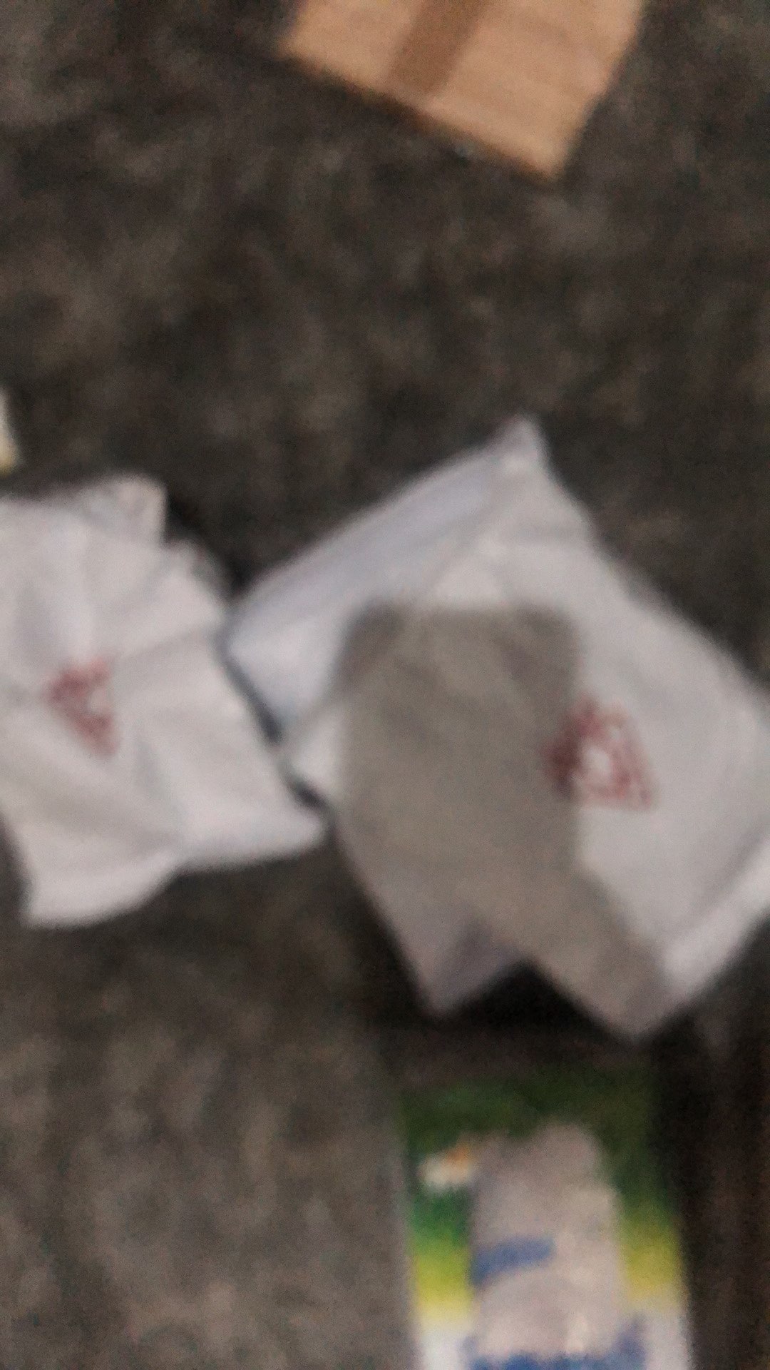 Mini Balloon Whisker Egg Beater Whisk Pengaduk Pengocok Stirrer