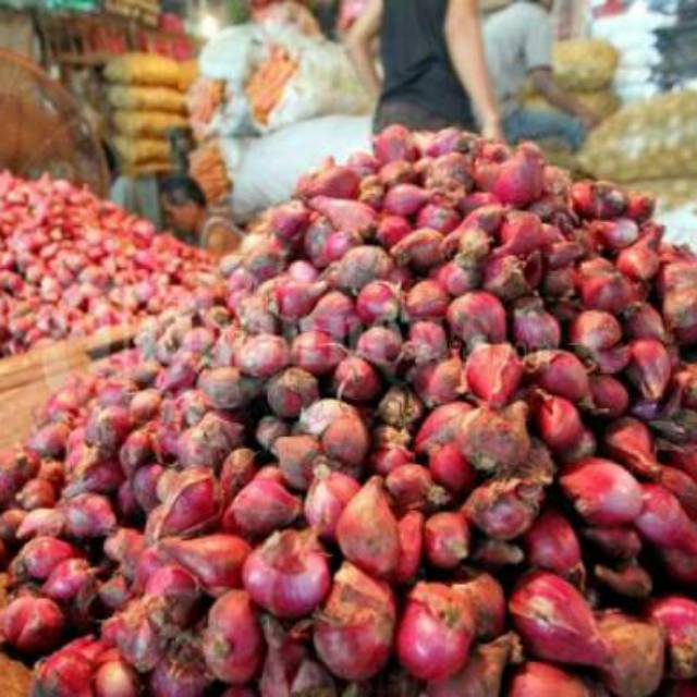 BAWANG MERAH BESAR - 1KG