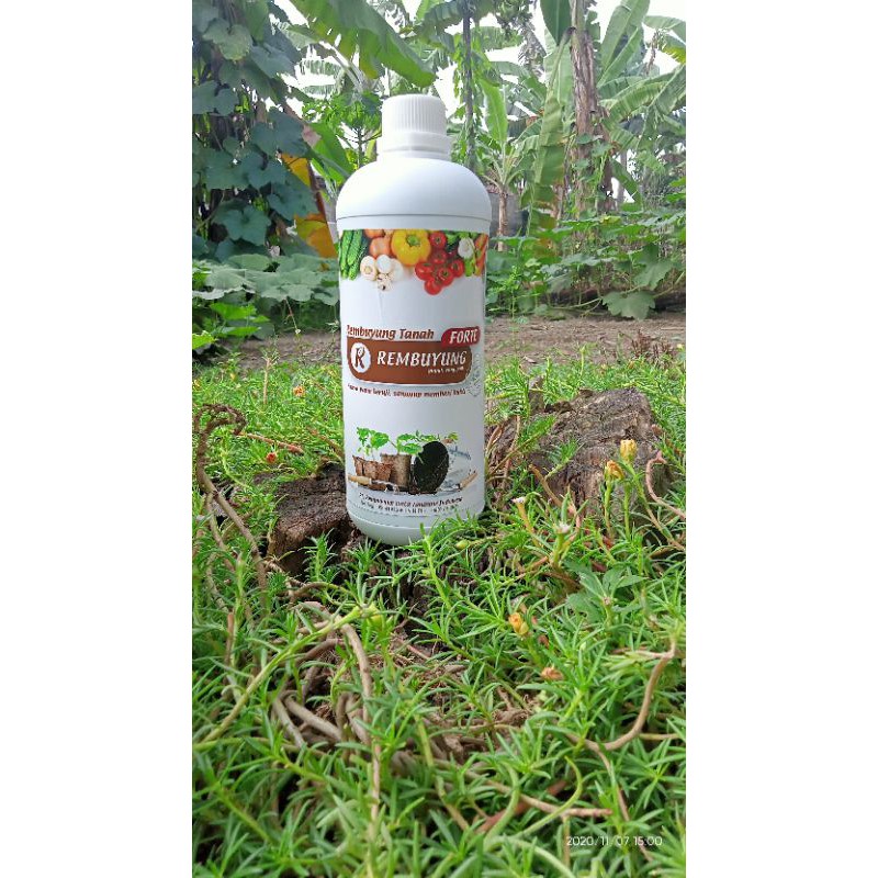 pupuk ENZIM REMBUYUNG TANAH FORTE
