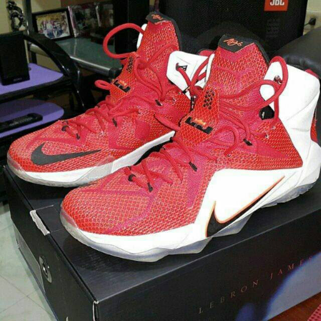 lebron 12 lion
