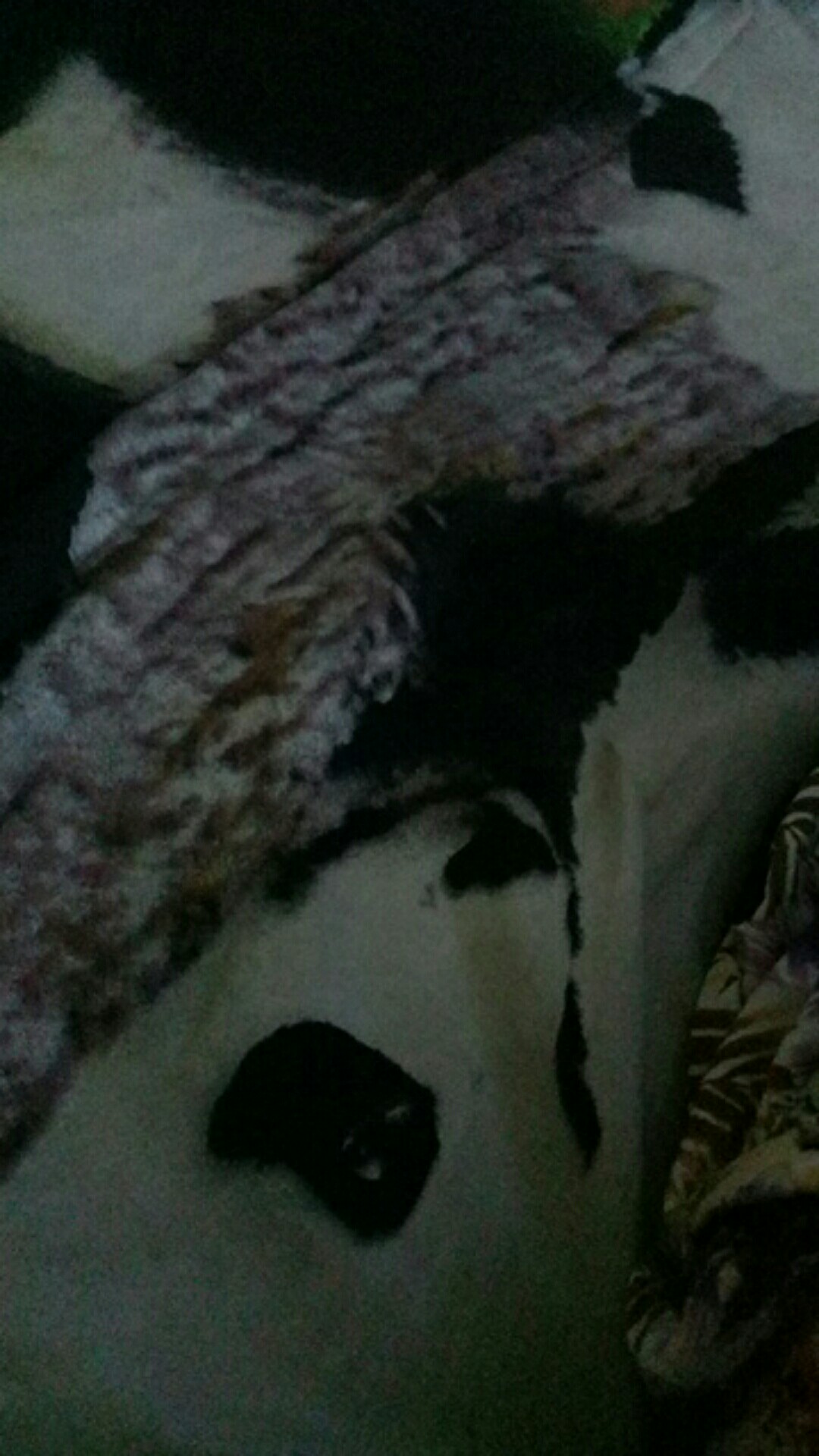 Paling Dicari.. Sarung Batik (anak) Smp Motif Wayang Gunungan | Sarung Batik Putri Motif Wayang Gunu