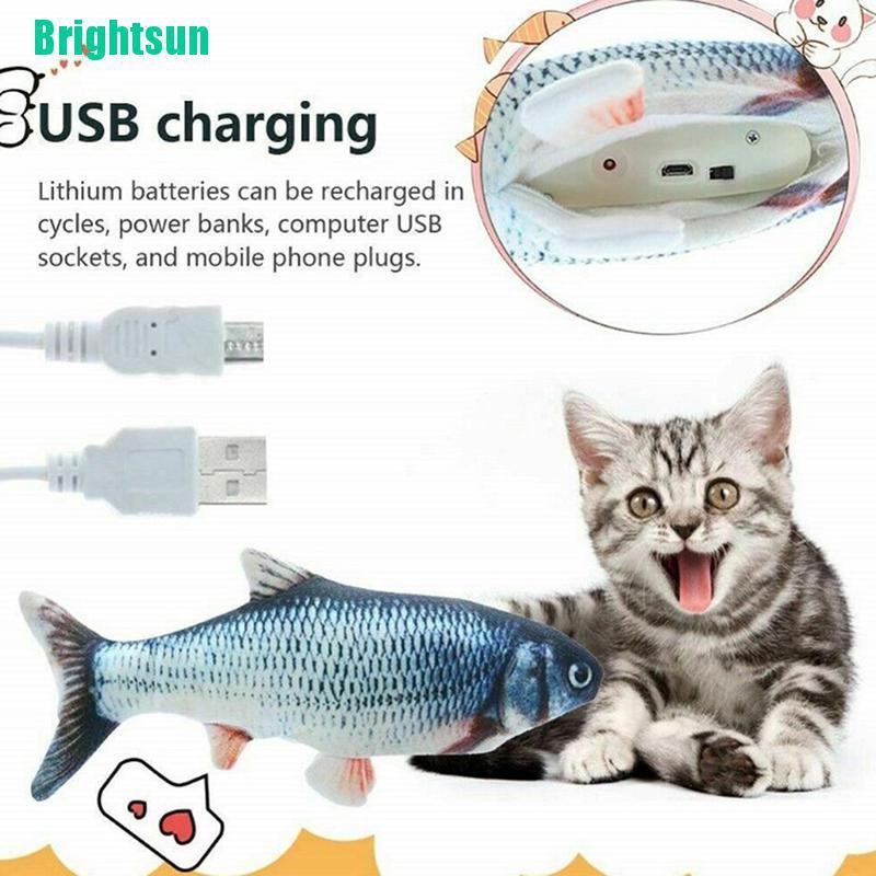 electronic pet fish