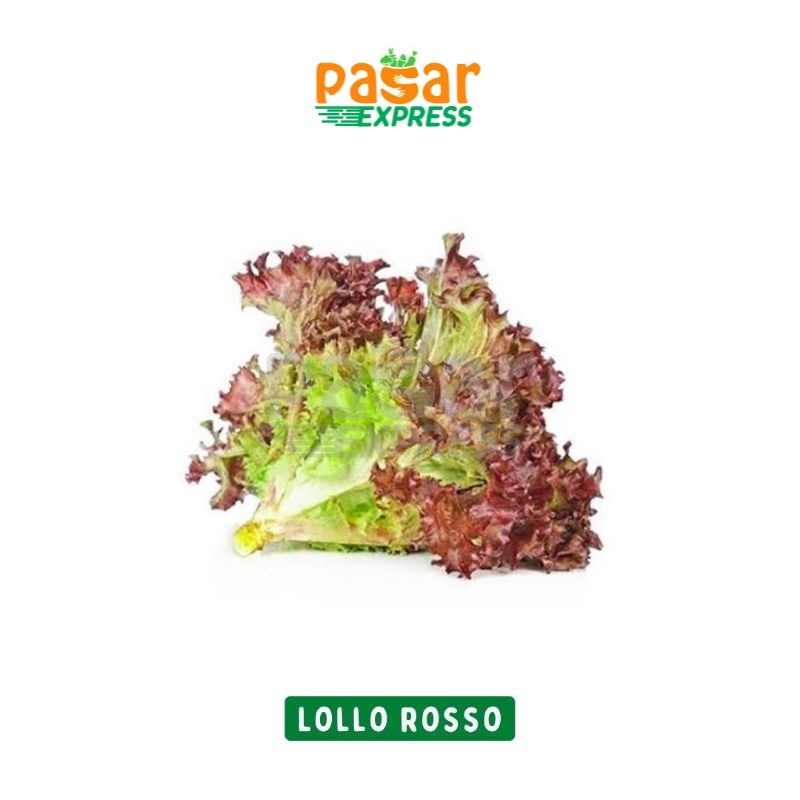 

[Pasar Express] Lollo Rosso / Selada Keriting Merah 500 Gram / Produk Musiman