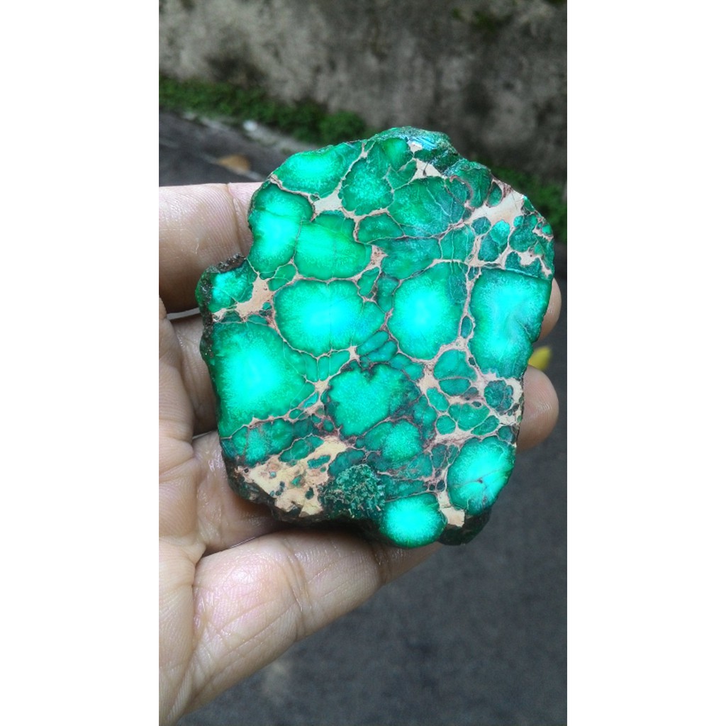 PIRUS NEVADA SUPER QUALITY HARGA KANTORAN MOTIF PILIHAN ( BUY 3 FREE 1 )