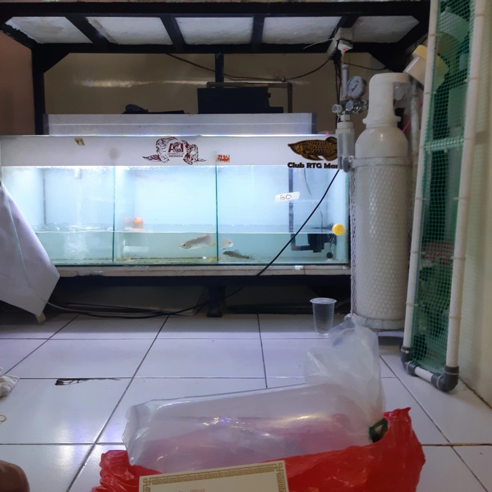 

DISKON SPESIAL PESANAN SULTAN TERMURAH