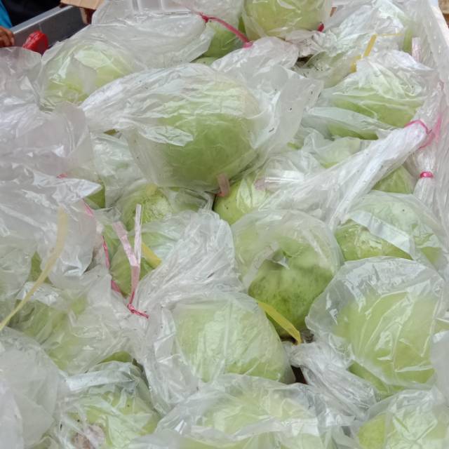 

Jambu Kristal