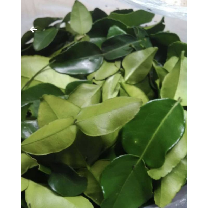 

Daun jeruk segar tanpa pestisida