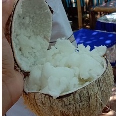 

KELAPA KOPYOR MAKNYUS ASLI PATI