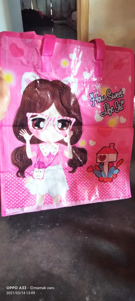 Tas Laundry / Tas Karung Plastik Kecil