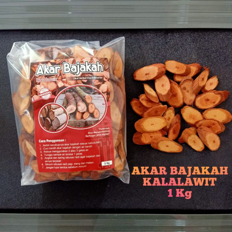 

Akar Bajakah Kalalawit Merah 1kg Obat Herbal Obat Khas Suku Dayak Kalimantan