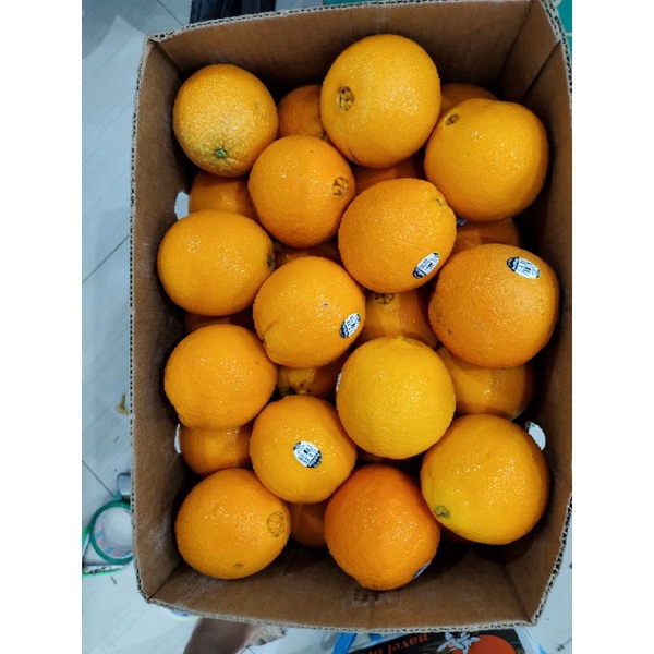 

JERUK SUNKIST NAVEL USA 1 KG
